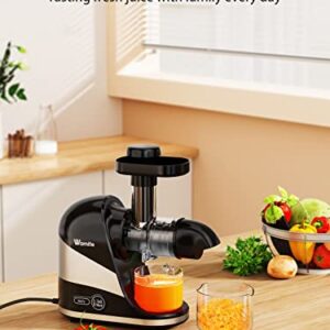 Wamife Slow Masticating Juicer Machine, Cold Press Juicer Extractor, 2 Modes & Reverse Function for High Nutrient Fruit & Vegetable Juice, Quiet Motor, with Cup & Brush(Black)