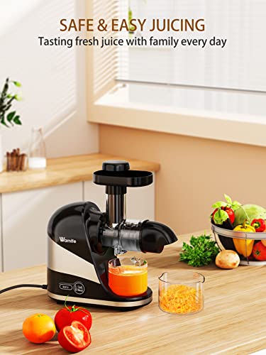 Wamife Slow Masticating Juicer Machine, Cold Press Juicer Extractor, 2 Modes & Reverse Function for High Nutrient Fruit & Vegetable Juice, Quiet Motor, with Cup & Brush(Black)