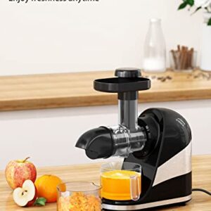 Wamife Slow Masticating Juicer Machine, Cold Press Juicer Extractor, 2 Modes & Reverse Function for High Nutrient Fruit & Vegetable Juice, Quiet Motor, with Cup & Brush(Black)