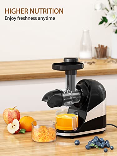 Wamife Slow Masticating Juicer Machine, Cold Press Juicer Extractor, 2 Modes & Reverse Function for High Nutrient Fruit & Vegetable Juice, Quiet Motor, with Cup & Brush(Black)