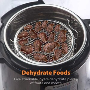 SICHEER Dehydrator Rack Stainless Steel Stand Accessories Compatible with Instant Pot Air Fryer Crisp Lid 6 Quart