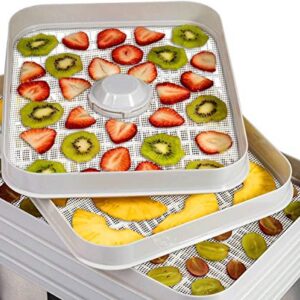 6 Pack Silicone Dehydrator Sheets,Non-stick Food Fruit Dehydrator Mats Reusable Steamer Mesh Mat for Fruit Dryer (6, 14 x 14 inch)