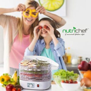 NutriChef Food Dehydrator Machine - Professional Electric Multi-Tier Food Preserver, Meat or Beef Jerky Maker, Fruit & Vegetable Dryer with 5 Stackable Trays, High-Heat Circulation - PKFD06