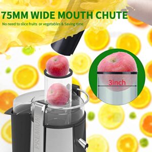 Centrifugal Juicer Machine - LCD Monitor 1100W Juice Maker Extractor, 5-Speed Juice Processor Fruit and Vegetable, 3" Feed Chute Stainless Steel Power Juicer, Easy Clean, BPA Free (Silver)