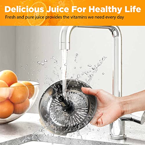 Ainclte Electric Citrus Juicer Squeezer Stainless Steel 150 Watts of Power for Orange Lemon Lime Grapefruit Juice with Soft Rubber Grip, Filter and Anti-drip Spout Lock - Black, Black/Stainless Steel