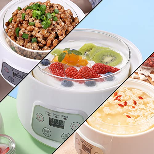 DiDimo Yogurt Maker,3 in 1 Greek Yogurt Maker Machine,Can Make Yogurt/Natto/Rice Wine,Automatic Digital Yogurt Machine With Time Control,1.2 Quart Glass Yogurt Jars (White)