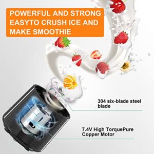 TastLi Portable Blender for Shakes and Smoothies, USB Rechargeable Mini Travel Electric Personal Size, with 13oz Blender Bottles, Powerful Motor, 6 Blades(Black)