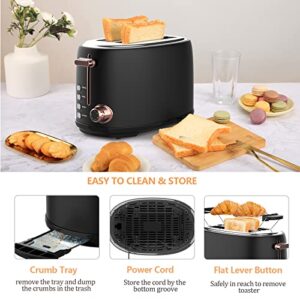 Evoloop Toaster 2 Slice, Stainless Steel Bread Toasters, 6 Bread Shade Settings, Reheat, Bagel, Defrost, Cancel Function, 1.5" Extra Wide Slots,with Removable Crumb Tray and Warming Rack (Black)