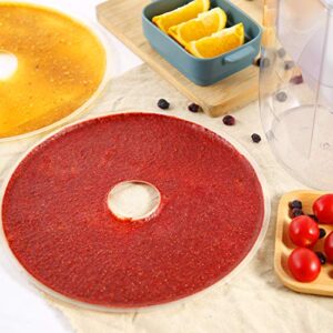 COSORI Food Dehydrator Machine Fruit Roll Sheets, BPA-Free Dehydrator Sheets for CO165 Food Dehydrator for Jerky Meat Beef Fruit, C165-2FR,2Pack