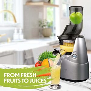 Kuvings Whole Slow Juicer B6000S - Higher Nutrients and Vitamins, BPA-Free Components, Easy to Clean, Ultra Efficient 240W, 60RPMs, Includes Blank Strainer-Silver