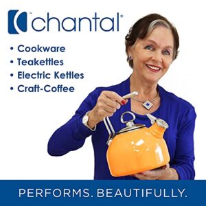 Chantal "Lotus" ceramic pour over coffee dripper, 8 Ounces, Blue Cove