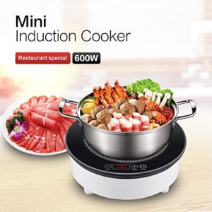 600W/120V Commercial Mini Induction Cooktop Countertop Burners Mini Induction Hot Plate Mini Electric Stove for RV & Tea Making Outdoor Abangdun