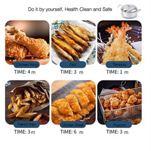 Cyrder Japanese Tempura Deep Fryer Pot with Thermometer and lid, 9.5" For Home with Oil Filtration, Big Deep Fryer Perfect for Family Easy Clean, Silver Deep Fryer Pot