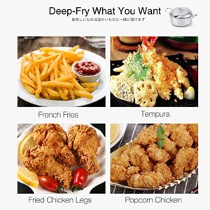 Cyrder Japanese Tempura Deep Fryer Pot with Thermometer and lid, 9.5" For Home with Oil Filtration, Big Deep Fryer Perfect for Family Easy Clean, Silver Deep Fryer Pot