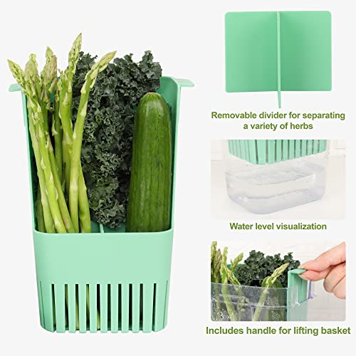 LUVCOSY Herb Keeper, BPA-Free Plastic Herb Saver with an Inner Basket for Cilantro, Mint, Parsley, and Asparagus, Keeps Fresh Herbs for 3 Times Longer,1Pcs, Blue