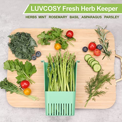 LUVCOSY Herb Keeper, BPA-Free Plastic Herb Saver with an Inner Basket for Cilantro, Mint, Parsley, and Asparagus, Keeps Fresh Herbs for 3 Times Longer,1Pcs, Blue