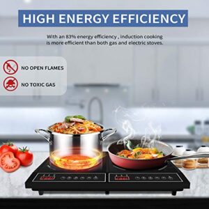 CUISUNYO Double Induction Cooktop Power Sharing Portable Induction Burner 1800w Countertop Temperature and Power Settings Electric Burner with Timer and Digital Control