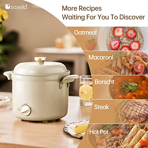 soseki Hot Pot Electric, 1.0L Electric Cooker with Non-Stick Pot, 800W Small Ramen Cooker Made of Stainless Steel For 1-2 people, Electric Pot For Oatmeal,Macaroni,Borscht(Gray)