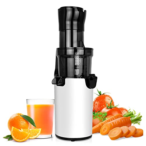 LynTorin Cold Press Juicer Machine, Slow Masticating Juicer with Wide Feed Chute, Slow Masticating Juice Extractor for Fruit and Vegetable, Easy Clean Compact Cold Press Pure Juicer for Home Use