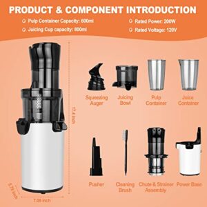 LynTorin Cold Press Juicer Machine, Slow Masticating Juicer with Wide Feed Chute, Slow Masticating Juice Extractor for Fruit and Vegetable, Easy Clean Compact Cold Press Pure Juicer for Home Use