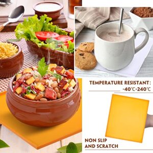 8 Pcs Silicone Dehydrator Sheets with Edge and 10 Pcs Mesh Dehydrator Mats with Silicone Scraper Silicone Tray Fruit Leather Trays for Dehydrator Non Stick Dehydrator Accessories for Liquid Meat Fruit