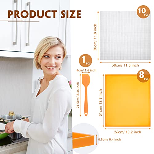 8 Pcs Silicone Dehydrator Sheets with Edge and 10 Pcs Mesh Dehydrator Mats with Silicone Scraper Silicone Tray Fruit Leather Trays for Dehydrator Non Stick Dehydrator Accessories for Liquid Meat Fruit