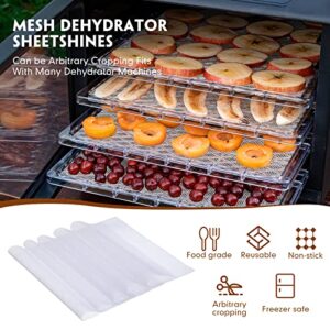 8 Pcs Silicone Dehydrator Sheets with Edge and 10 Pcs Mesh Dehydrator Mats with Silicone Scraper Silicone Tray Fruit Leather Trays for Dehydrator Non Stick Dehydrator Accessories for Liquid Meat Fruit