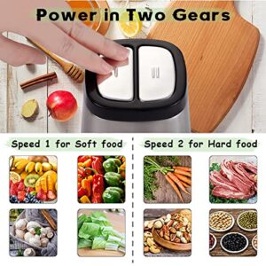 Electric Meat Grinder, 8-Cup Food processors with 2L Stainless Steel Bowl,meat mincer,Mini food Chopper for Meat, Vegetables, Fruits, 300W Powerful Motor 4 Detachable Stainless Steel Blades