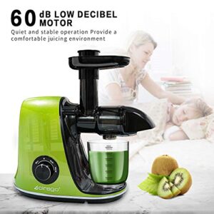 CIRAGO Juicer Machines, Slow Masticating Juicer Extractor Two Speed Adjustment, Easy to Clean, Quiet Motor, Cold Press Juicer for Vegetables and Fruits, BPA-Free (Green)