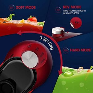 MAMA'S CHOICE Slow Masticating Juicer, Juicer Machines for Friut and Vegetable, Cold Press Juicer Extractor with Total Pulp Control, Quiet Motor, Reverse Function, Brush and Recipes