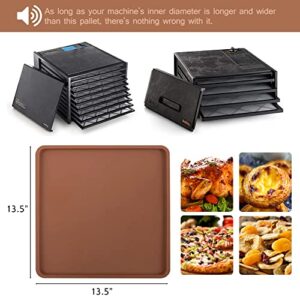 6Pcs Silicone Dehydrator Mats with Edge for 14" x 14" Trays Compatible with Excalibur Dehydrator, - Nonstick Silicone Drye Sheets Multi-purpose Reusable for Jerky, Fruit, Meat, Herbs, Vegetables, Cracker…