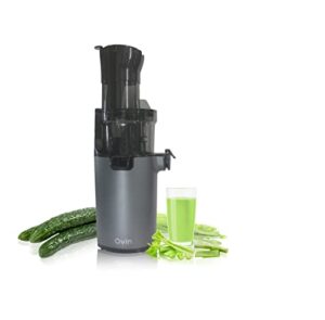 cold press juicer, qvin slow masticating juicer machines with big wide chute, nutrient electric juicer machines vegetable and fruit, slow juicer machine bpa-free, easy to clean，extractor de jugos y vegetales
