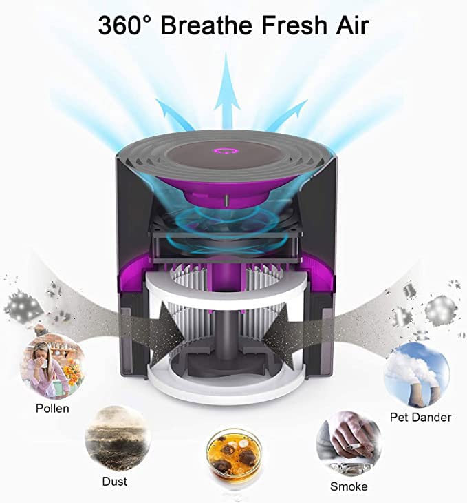 MEGAWISE H13 True HEPA Air Purifier Cleaner for Home Bedroom Small Room Office, help to purify for Smoke, Dust, Pet Dander, Ozone Free, Fully Certified