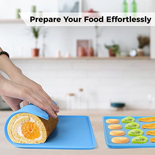 4PCS Silicone Dehydrator Sheets with Edge, Fruit Leather Trays for 13" x 12" Dehydrator Trays, Compatible with Cosori CP267-FD, Non-stick Reusable Dehydrator Mats Liner for Meat, Herbs, Vegetable