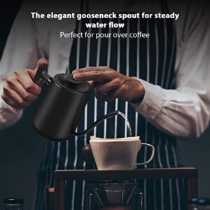 Electric Kettle With LCD Display, 1200W Gooseneck Water Heater Electric for Coffee & Tea, 30oz Pour Over Coffee Kettle with Ultra Fast, Auto Shutoff Boil-Dry Protection, 0.9L, Black