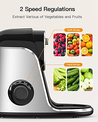 Juicer Machine, Slow Masticating Juicer with 2 Speed Modes & Reverse Function, Easy to Clean Juicer BPA-Free Cold Press Juicer with Quiet Motor, Includes Cleaning Brush & Recipes for Vegetables and Fruits