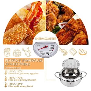 Wrqqwsy 9.45inch Deep Fryer Pot(°F), 3.4L Japanese Tempura Small Deep Frying Pot with Fahrenheit Thermometer, 304 Stainless Steel Deep Fryer with Oil Draining Rack for Tempura chips, Fries, Fish, and Chicken