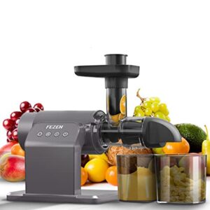 Juicer Machines, Fezen Slow Masticating Juicer Extractor, Cold Press Juicer with Two Speed Modes, Quiet Motor/Reverse Function, Higher Juice Yield Slow Juicer for Vegetables & Fruits, Easy to Clean