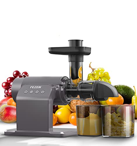 Juicer Machines, Fezen Slow Masticating Juicer Extractor, Cold Press Juicer with Two Speed Modes, Quiet Motor/Reverse Function, Higher Juice Yield Slow Juicer for Vegetables & Fruits, Easy to Clean