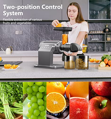 Juicer Machines, Fezen Slow Masticating Juicer Extractor, Cold Press Juicer with Two Speed Modes, Quiet Motor/Reverse Function, Higher Juice Yield Slow Juicer for Vegetables & Fruits, Easy to Clean