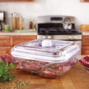 Foodsaver® - Quick Marinator