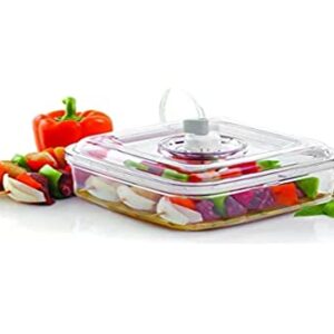 Foodsaver® - Quick Marinator