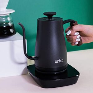 brim Temperature Control Electric Gooseneck Kettle with Capacitive Touch, Black