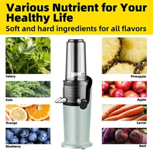 Lecone Juicer Machine, Compact Masticating Slow Juicer Easy to Clean Cold Press Juicer with Brush Upgraded Non-clog Filter with Reverse Function for Celery Ginger Pineapple Fruit and Vegetable (GREEN)