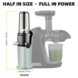 Lecone Juicer Machine, Compact Masticating Slow Juicer Easy to Clean Cold Press Juicer with Brush Upgraded Non-clog Filter with Reverse Function for Celery Ginger Pineapple Fruit and Vegetable (GREEN)