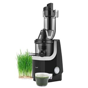 caynel whole slow juicer, masticating cold press juicer machine easy to clean, higher nutrients and vitamins, eastman tritan material bpa-free, ultra efficient 200w, 50rpms