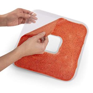 fruit roll sheets