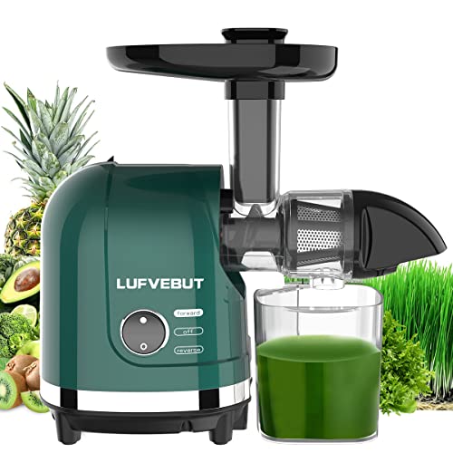 Vegetable Juicers for Celery Wheatgrass Ginger Beets, Fruit Juicer Machines Slow Masticating Juicer Cold Press Juice Extractor Pulp Separated, Quiet Motor, BPA Free, Dishwasher Safe, Easy To Clean