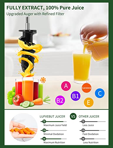 Vegetable Juicers for Celery Wheatgrass Ginger Beets, Fruit Juicer Machines Slow Masticating Juicer Cold Press Juice Extractor Pulp Separated, Quiet Motor, BPA Free, Dishwasher Safe, Easy To Clean