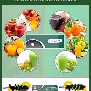 Vegetable Juicers for Celery Wheatgrass Ginger Beets, Fruit Juicer Machines Slow Masticating Juicer Cold Press Juice Extractor Pulp Separated, Quiet Motor, BPA Free, Dishwasher Safe, Easy To Clean